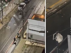 Imagem - Vídeo: homens invadem casa e fazem a limpa no bairro da Graça