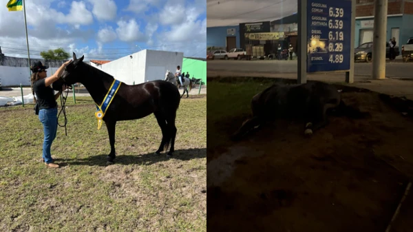 Caso aconteceu na cidade de Saúde, no Centro Norte baiano
