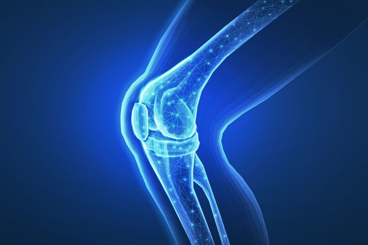 A artrite séptica é uma doença causada por bactérias que afetam a articulação (Imagem: CoreDESIGN | Shutterstock)