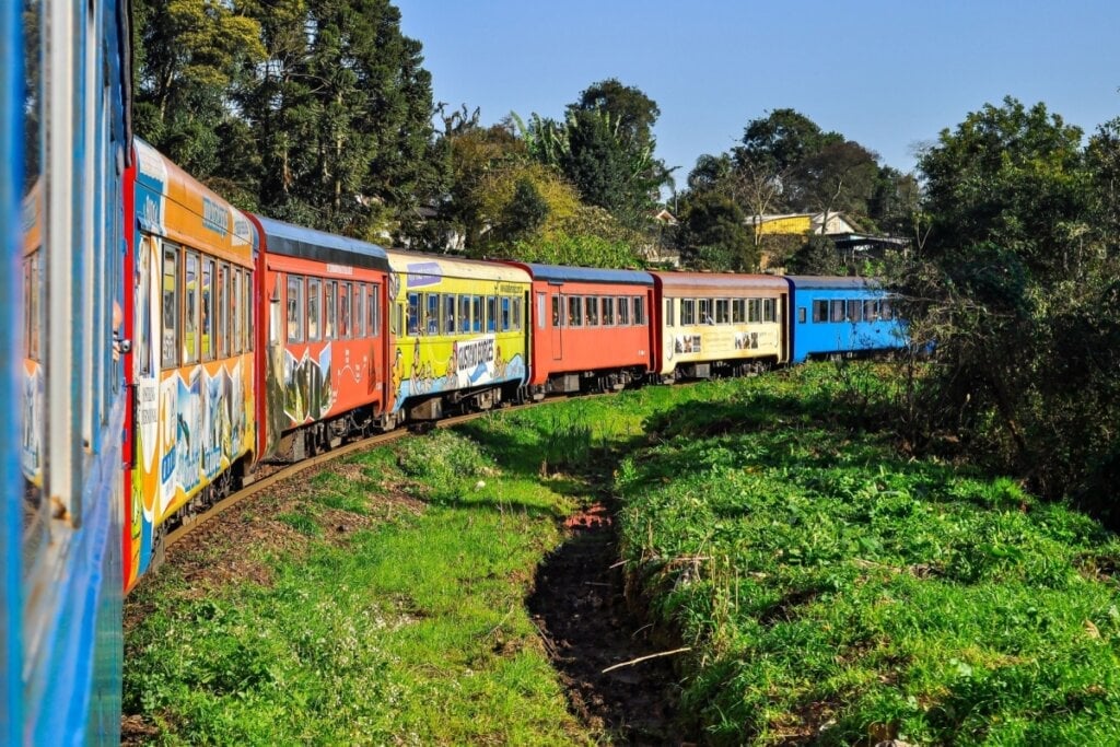 A viagem até Morretes já foi considerada um dos melhores passeios de trem pelo The Guardian e pelo The Wall Street Journal (Imagem: cabuscaa | Shutterstock)