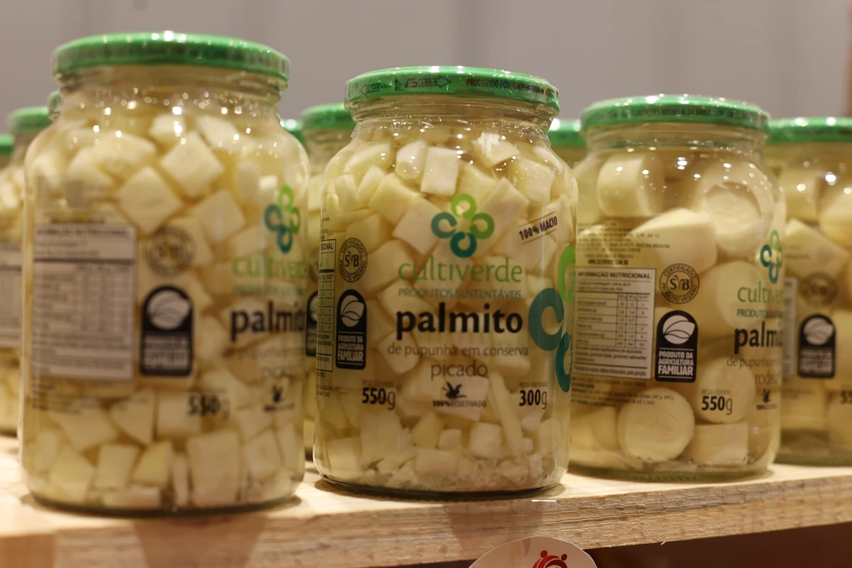 Palmito