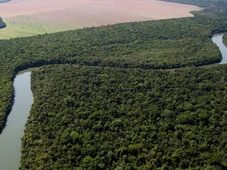 Imagem - Alta de 55% do desmatamento da Amazônia em abril liga o alerta no governo Lula