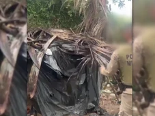 Imagem - Esconderijo, armas e drogas: PM localizada acampamento da Katiara; veja