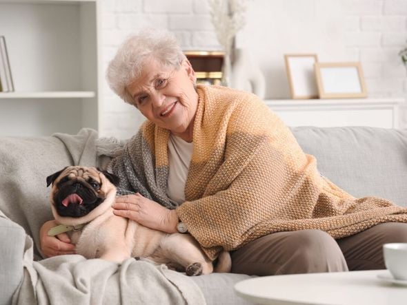 Imagem - 7 raças de cachorro ideais para idosos