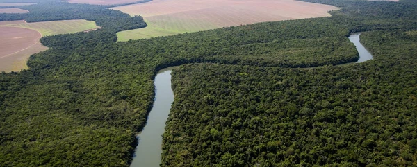 Amazônia, em 2024