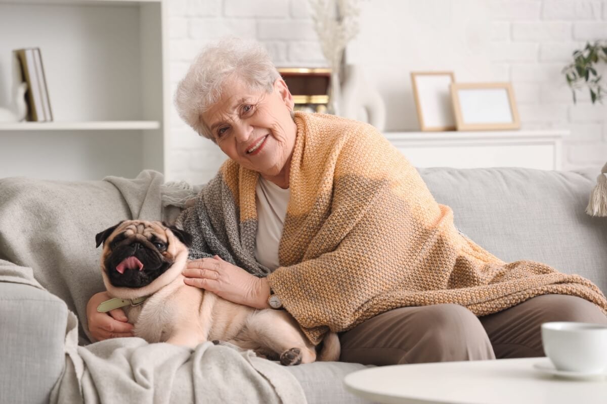 Algumas raças de cachorro são ideais para pessoas idosas (Imagem: Pixel-Shot | Shutterstock)