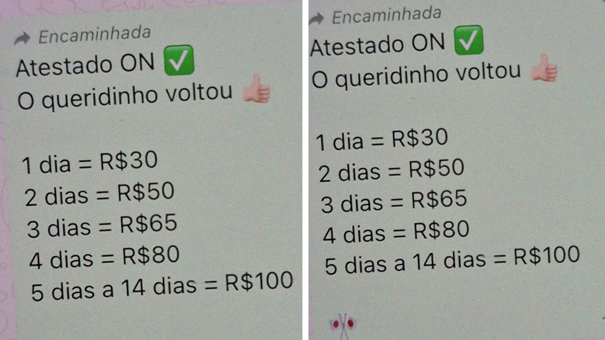 Venda é feita por aplicativo de mensagens