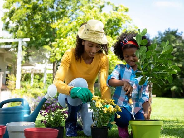Imagem - Veja hortaliças e flores ideais para cultivar em maio
