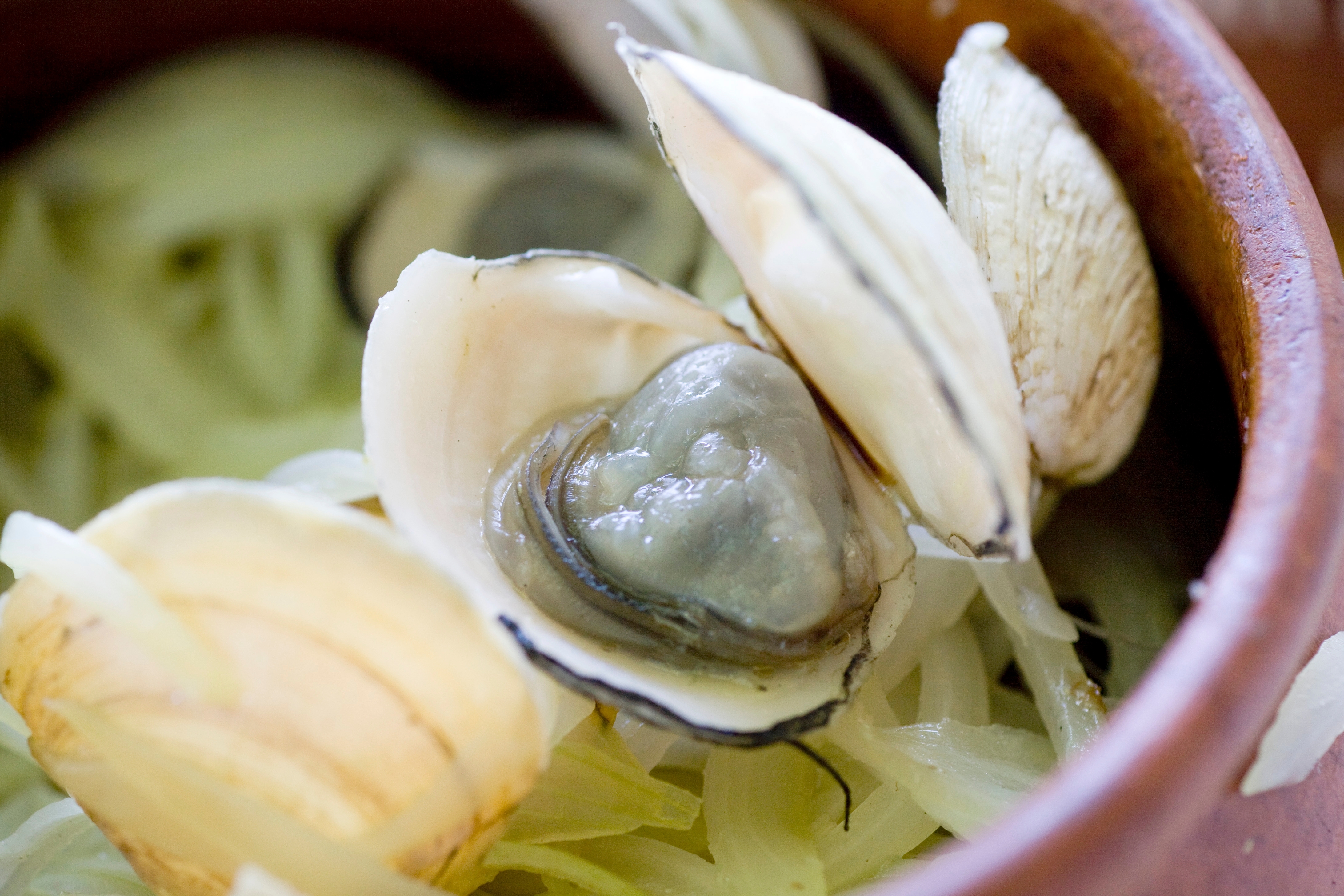 O marisco é fonte de vitaminas B1, B2 e B6, que são responsáveis por transformar o que comemos em energia por Shutterstock