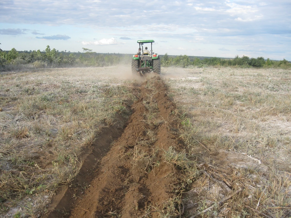 Foram sando técnicas como calagem, cobertura vegetal e manejo agroecológico.