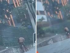 Imagem - Mulher é encurralada e agredida durante assalto em avenida de Salvador