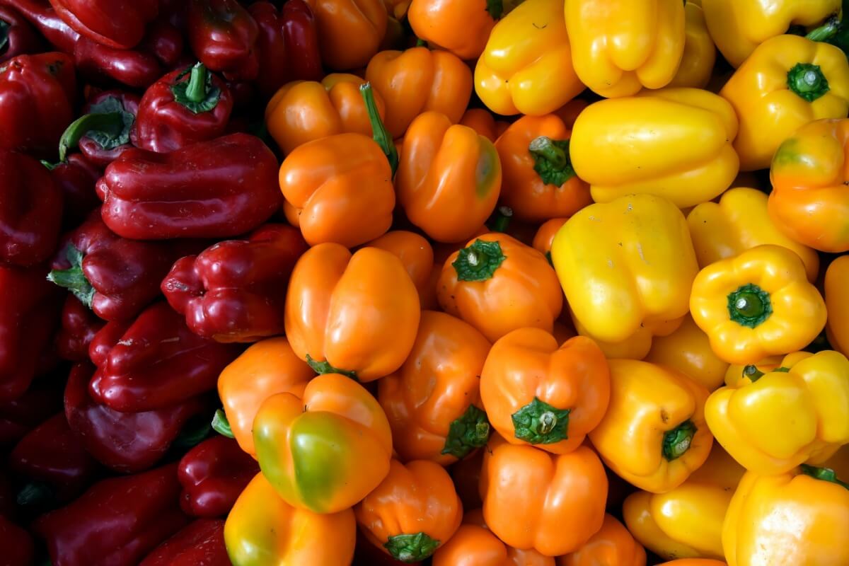 O pimentão é rico em nutrientes essenciais para a saúde do corpo (Imagem: Gary Lenhart | Shutterstock) 