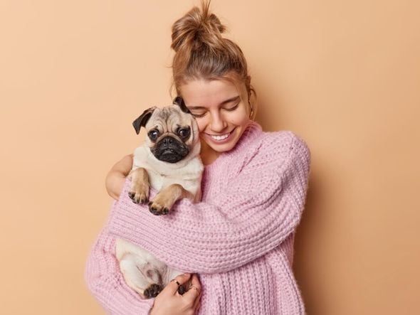 Imagem - 8 raças de cachorro mais dóceis