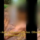 Imagem - Tribunal do Crime: PCC tortura homem após furto de botijão e filma ação