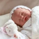 Imagem - Uso de bebês reborn pode virar caso de polícia; entenda