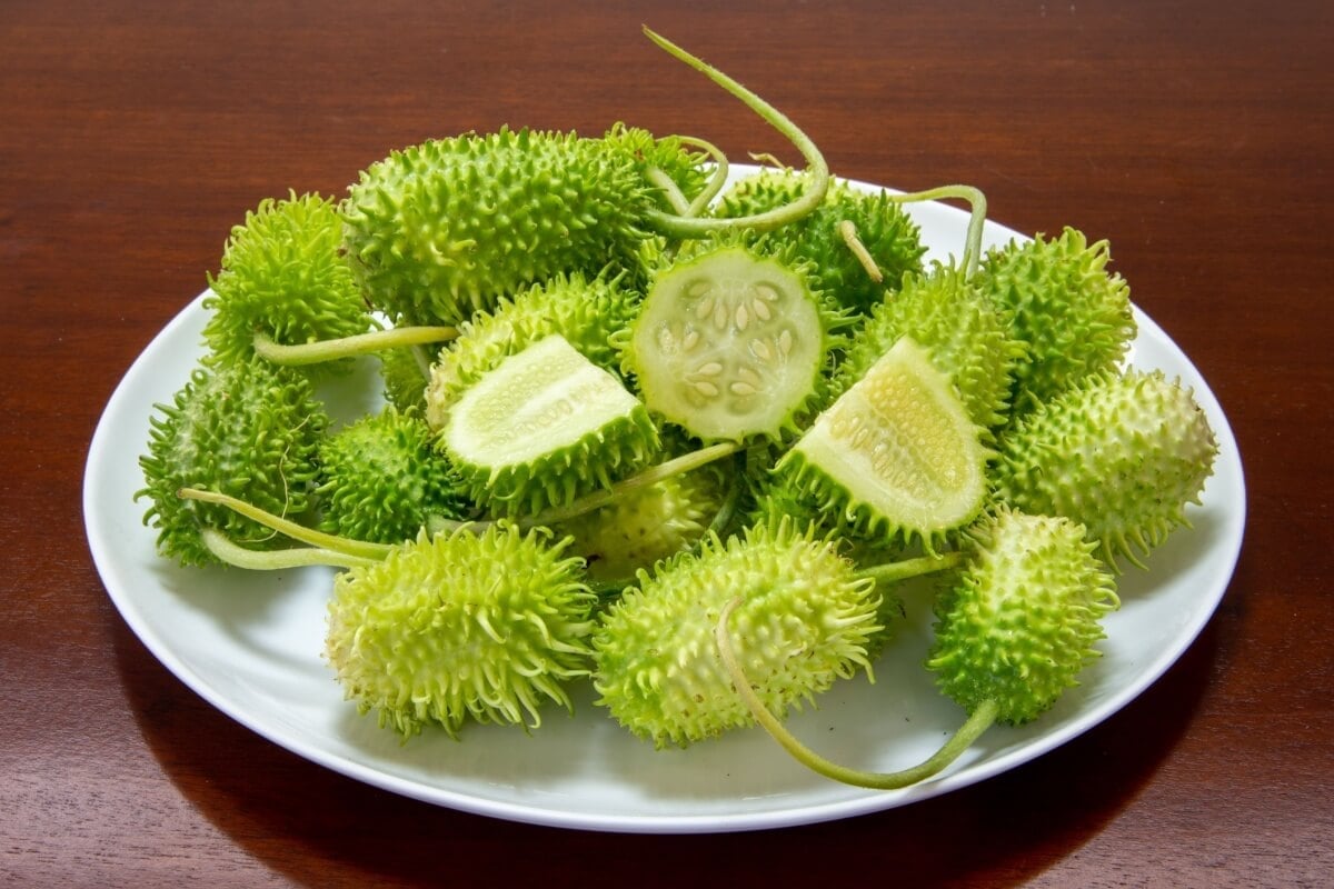 O maxixe é rico em nutrientes essenciais para o funcionamento do organismo (Imagem: Adilson Sochodolak | Shutterstock)