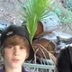 Imagem - Justin Bieber foi realmente abusado por Diddy? Representante do cantor responde