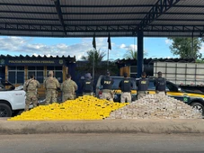 Imagem - Motorista pula de caminhão em movimento e abandona quase meia tonelada de cocaína na Bahia