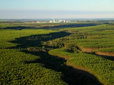 Imagem - Chegada da Veracel impulsionou PIB de Eunápolis em 76,1%