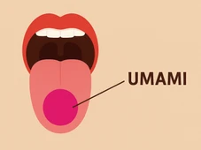 Imagem - Em busca do umami da vida