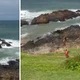 Imagem - Dois banhistas se afogam na praia da Barra