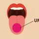 Imagem - Em busca do umami da vida