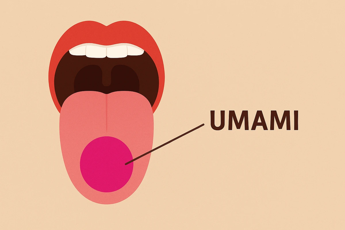 Umami De Tudo que eu vejo