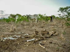Imagem - Bahia tem 2 milhões de pessoas afetadas pela seca só em 2025