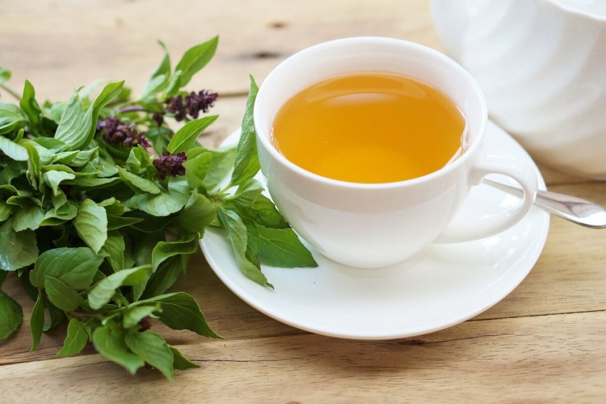 Chá de manjericão, lavanda e limão-siciliano (Imagem: SiNeeKan | Shutterstock)
