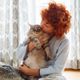 Imagem - 5 cuidados para quem tem ou pretende adotar um gato