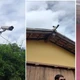 Imagem - Caraíva: policiais desligaram câmeras antes da morte de guia turístico, acusam moradores
