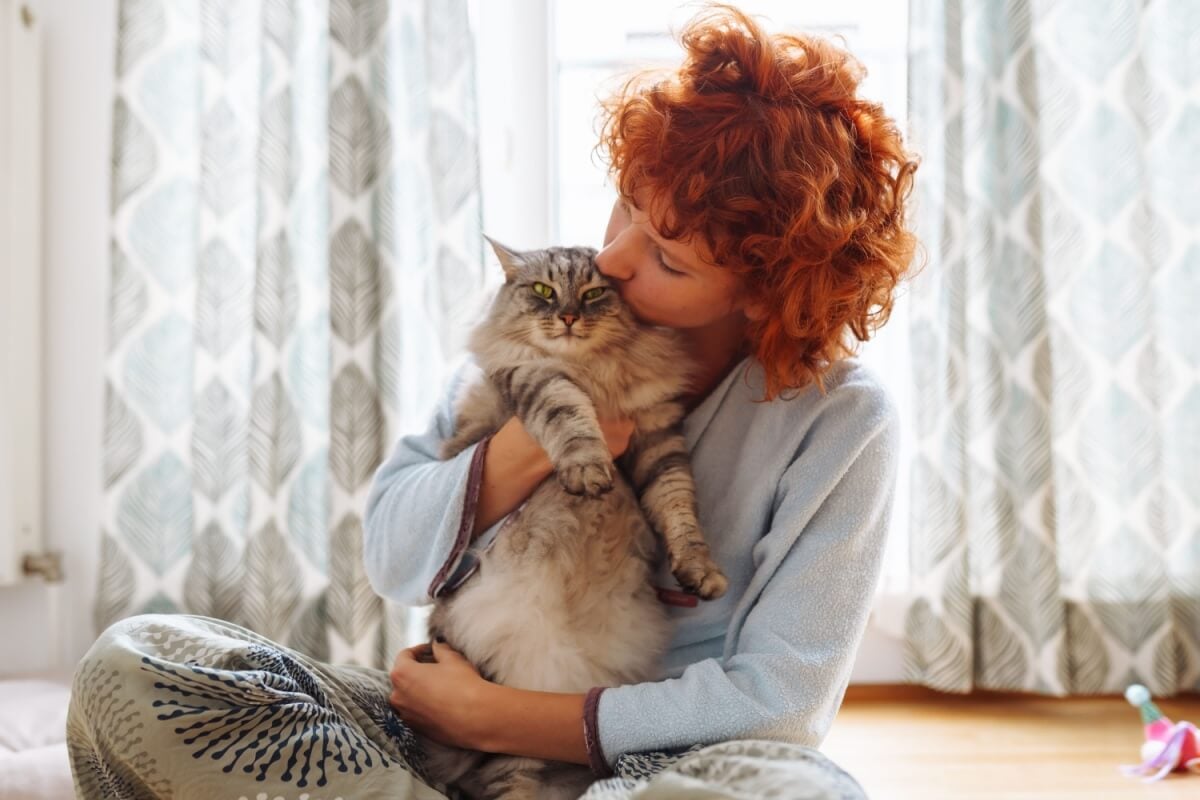Cuidados com os gatos vão além de oferecer comida e abrigo (Imagem: larisa Stefanjuk | Shutterstock) 