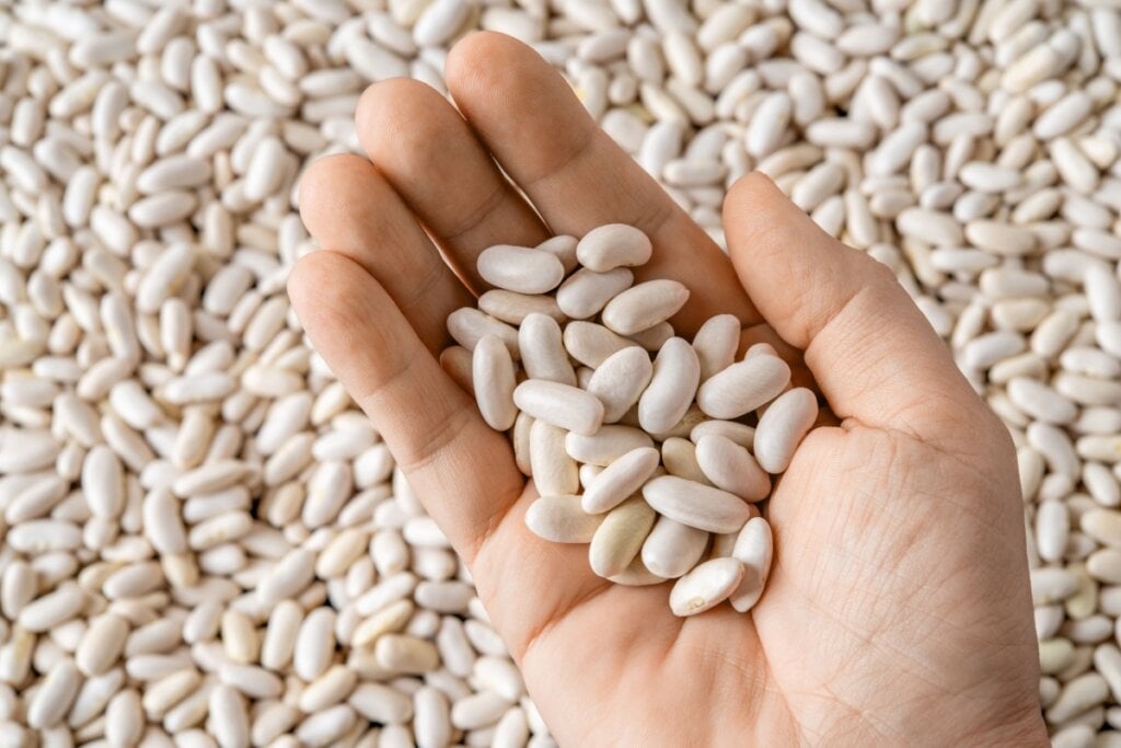 O feijão-branco tem ação antioxidante (Imagem: Maryia_K | Shutterstock) 
