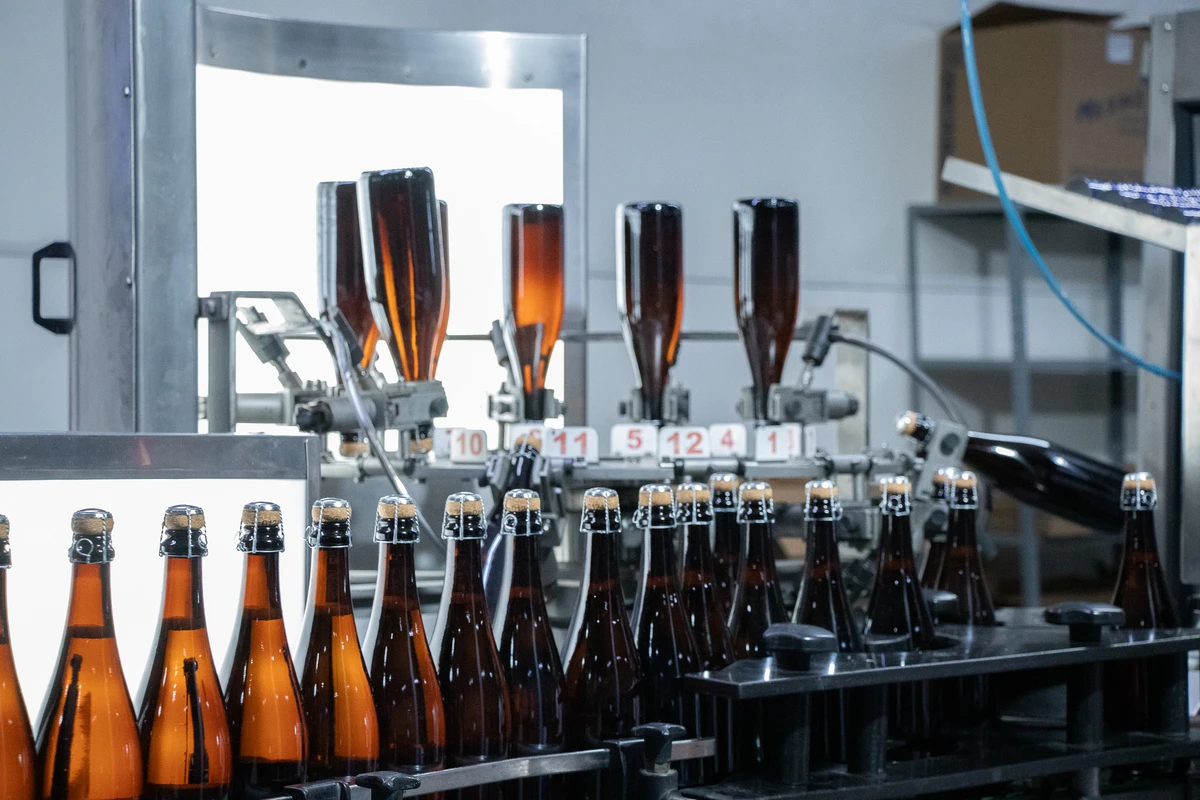 Vale do São Francisco é responsável por 15% da produção brasileira de vinhos