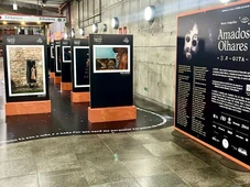 Imagem - Flipelô lança Concurso Fotográfico Amados Olhares 2025