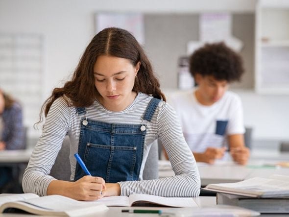 Imagem - Bahia de fora: veja quais são as 15 melhores escolas do Brasil em matemática
