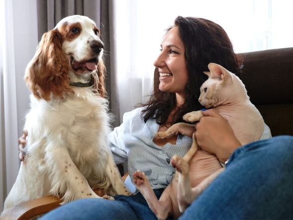 Imagem - 12 dicas para o seu animal ter uma vida saudável e feliz