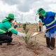Imagem - Cachoeira é escolhida para abrigar primeira fazenda-modelo da Acelen