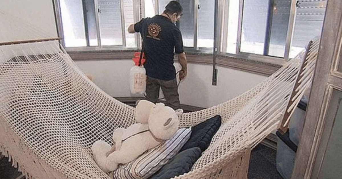 Imagem - Demitido por ciúmes de diretor, ex-Globo sobrevive matando ratos e baratas