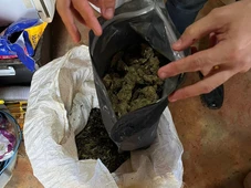 Imagem - Mais de meia tonelada de maconha é apreendida em cidade do sul da Bahia