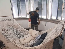 Imagem - Demitido por ciúmes de diretor, ex-Globo sobrevive matando ratos e baratas