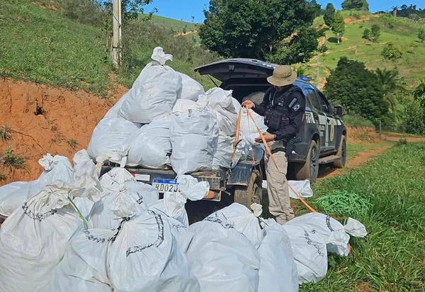 Munições e insumos eram usados no preparo de maconha tipo “ice” e “skunk” por Divulgação/ Ascom- PCBA