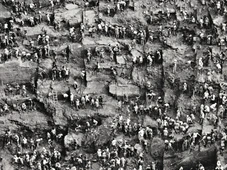 Imagem - Foto de Sebastião Salgado foi incluída em lista de 25 imagens que definem uma era