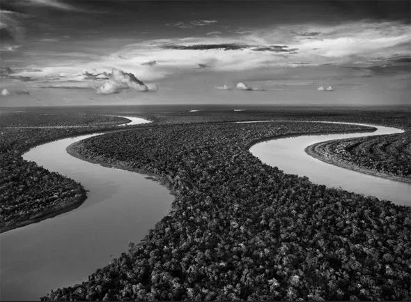 undefined por Sebastião Salgado/Reprodução