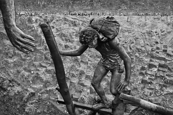 undefined por Sebastião Salgado/Reprodução