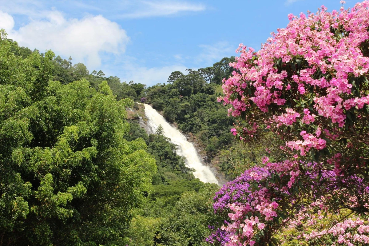 1º lugar - Cachoeira dos Pretos (SP) por Divulgação