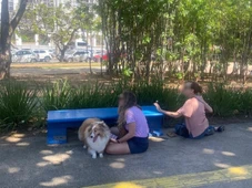 Imagem - 'Eu achei que seria baleada', diz moradora que se jogou no chão para se proteger de tiroteio em praça da Pituba