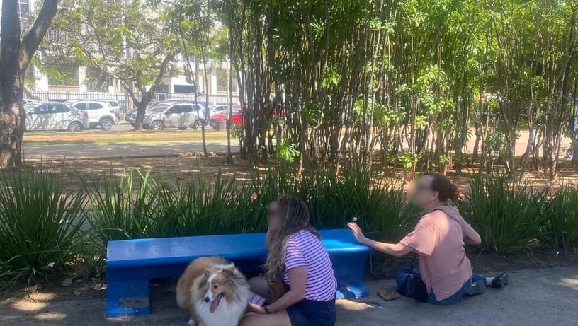 Imagem - 'Eu achei que seria baleada', diz moradora que se jogou no chão para se proteger de tiroteio em praça da Pituba