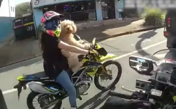 Motociclista foi parada pela polícia por motivo inusitado