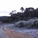 Imagem - Neve no Brasil? Primeiro grande frio do ano deve ocorrer em breve